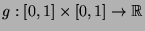 $ g:[0,1]\times[0,1]\rightarrow
\mathbb{R}$